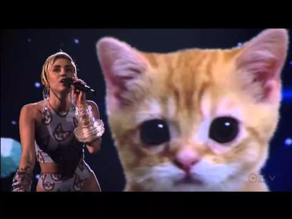 The CAT deserves His Own Blog; Miley Cyrus Performance From The AMA&#8217;s [Video]