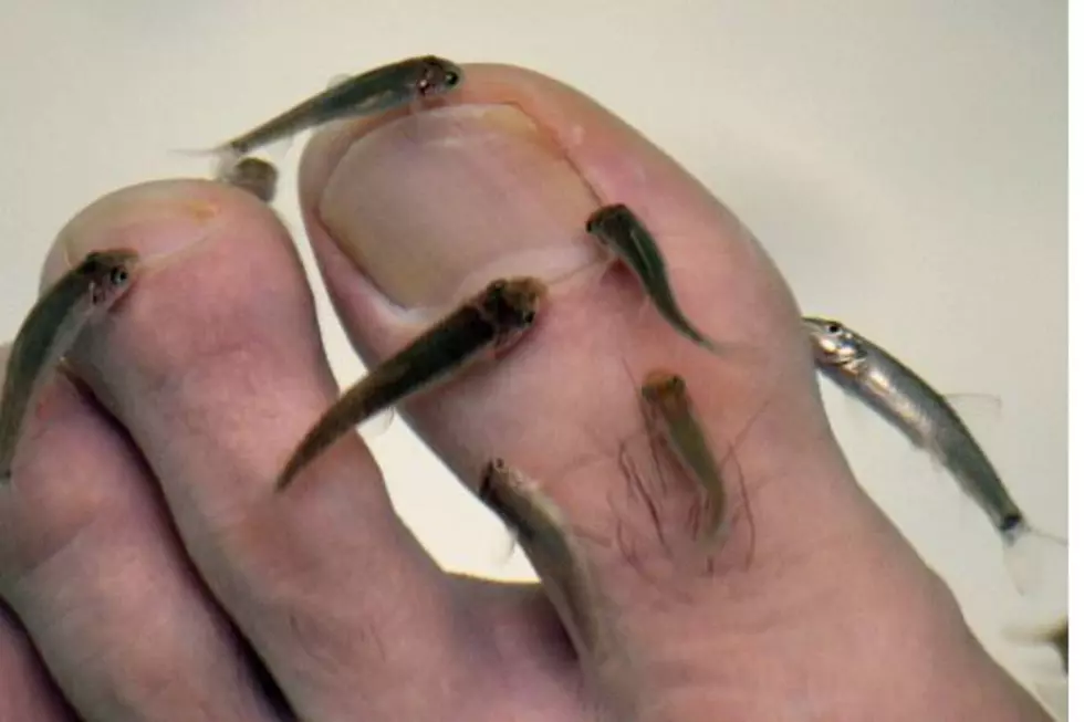 Fish Feet Pedicures; What Ladies Will Do LOL [Video]