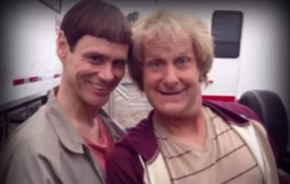 Watch The Much Anticipated Trailer For Dumb And Dumber To [Video]Rebecca&#8217;s Take