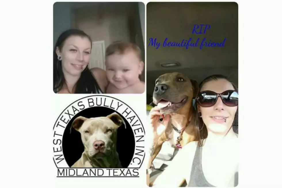 The Pitbulls in West Texas Lost a Good Friend This Weekend