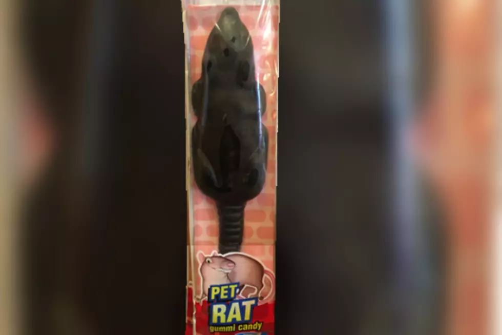 Have You Ever Found a Gummy Rat? Now You Can Buy Them!