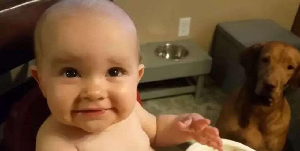Evil Genius Baby Laugh &#8211; Leo and Rebecca Found Sound  (VIDEO)