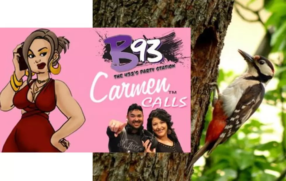 Carmen Calls To Get Her Neighbors Tree Cut Down – Leo and Rebecca (Audio)