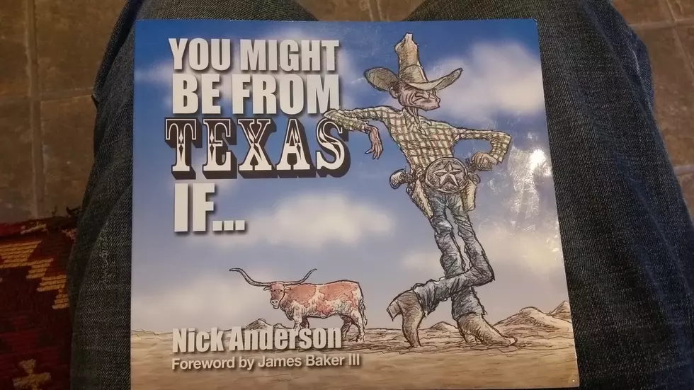 You Might Be From Texas If..By Nick Anderson Is My Book Of The Year