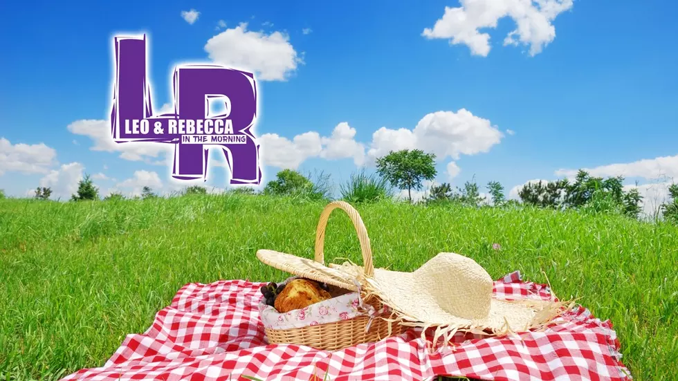 National Picnic Day And We Can&#8217;t Remember The Last Time We Had One &#8211; Leo and Reb