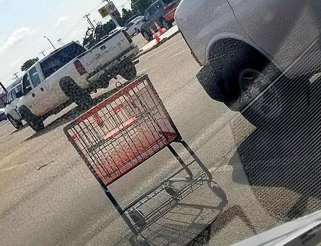 To Put Away Or Not To Put Away Your Shopping Cart?