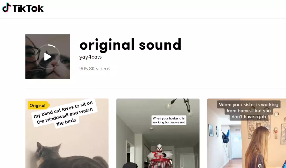 Viral Tik Tok Clip Of Song Originates From These Videos