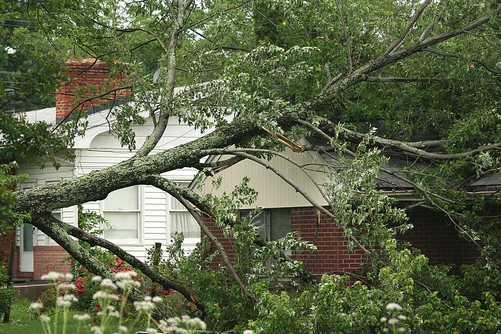 Tree Giveaway From Keep Odessa Beautiful This Friday