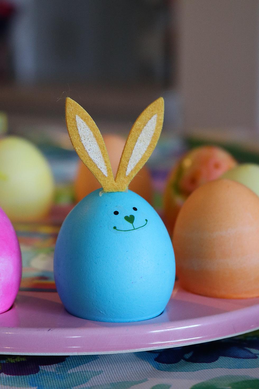 Easter Bunny Photos Return To The Midland Mall