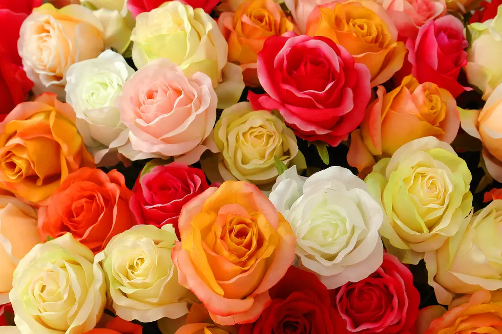 Ask Midland Odessa – Who Complains About Getting 6 Dozen Roses?…My Girl!