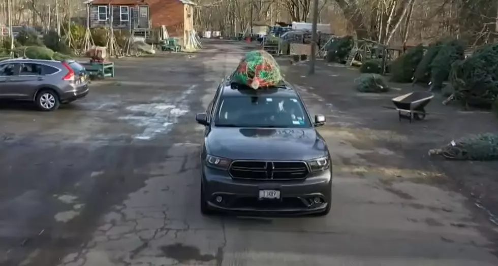 Bah Humbug!  Is It Illegal To Strap A Christmas Tree To Your Car In Texas?