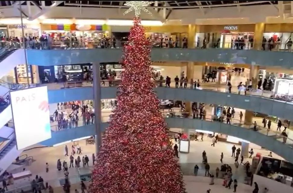 See The Tallest Indoor Christmas Tree in the Country in Dallas - Texas is  Life