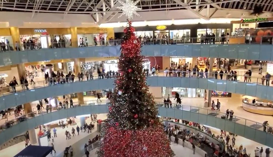 Nation's Tallest Indoor Christmas Tree Takes Root In A Dallas Shopping Mall