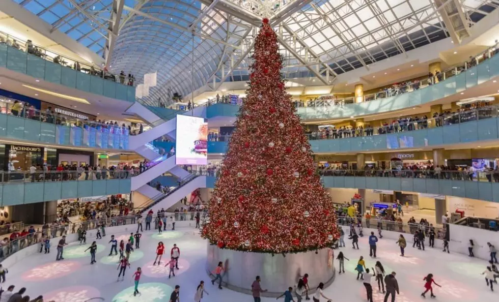 Whoa! Is This The Tallest Indoor Christmas Tree In Texas?