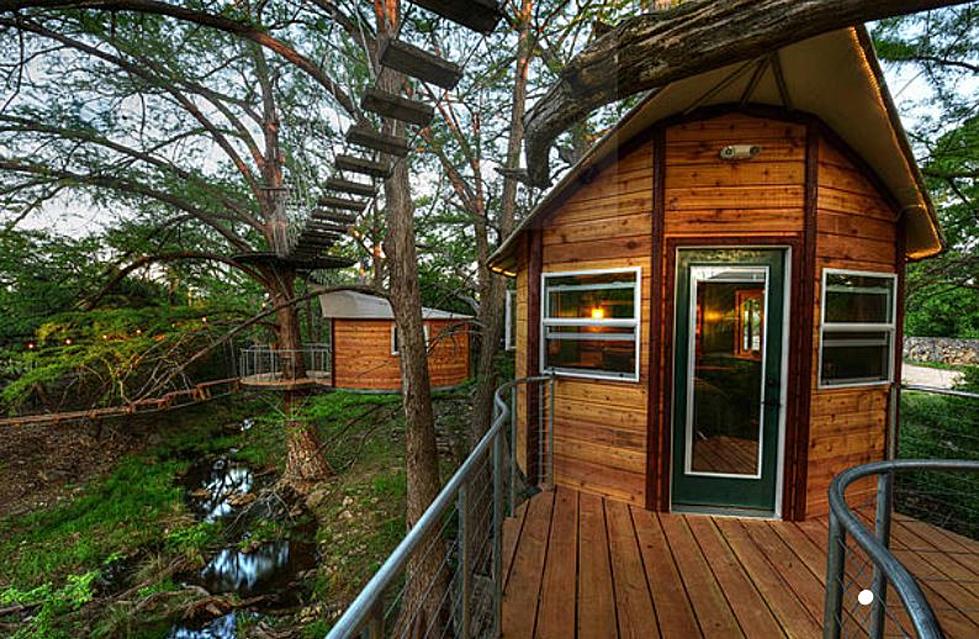Hit Up An Awesome Texas Tree House This Spring Break!