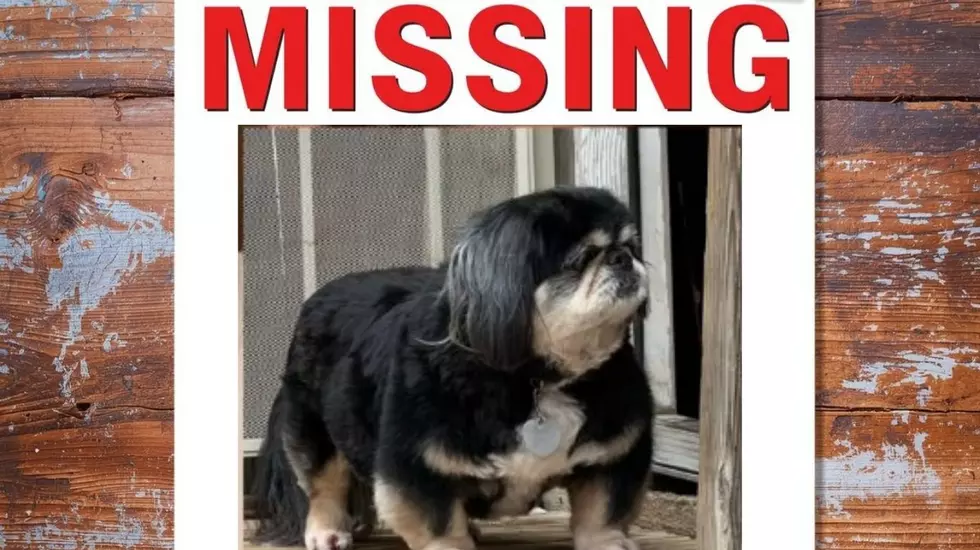 Odessa Family Turns to TikTok For Help