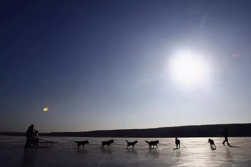 2014 Can-Am Crown International Sled Dog Races in Fort Kent
