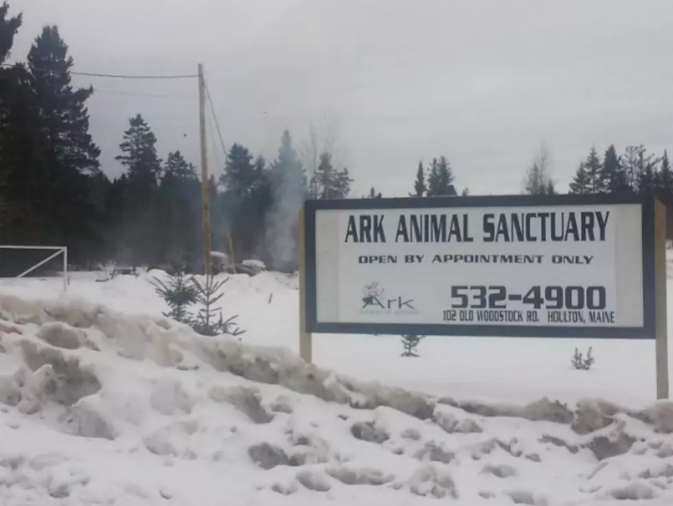 Fire Destroys Ark Animal Sanctuary in Houlton