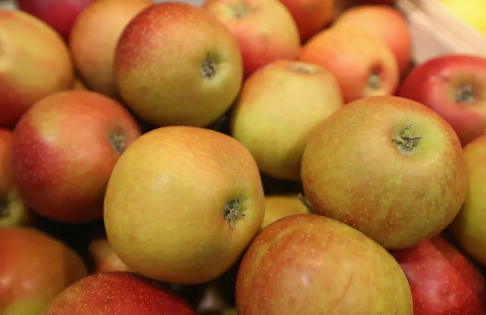 Maine’s Apple Growers Expecting A Good Season