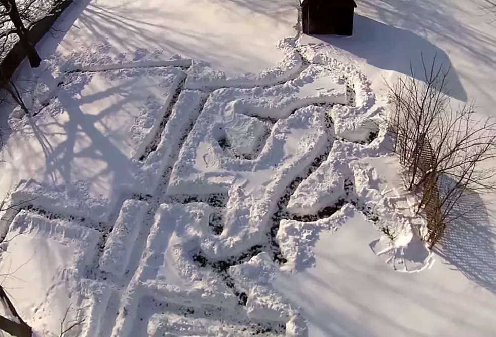 Dog Maze In The Snow Is Winter Time Fun! [VIDEO]