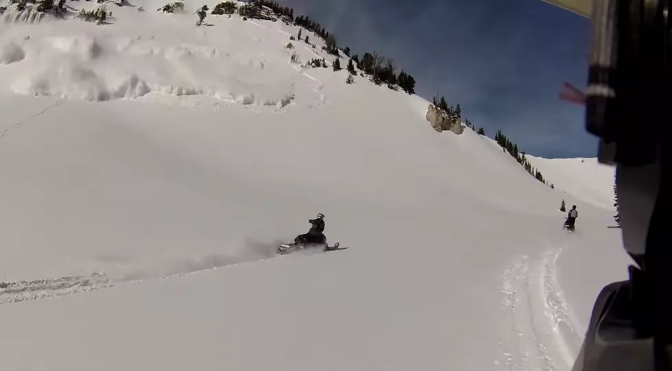 Avalanche And Rescue! [VIDEO]