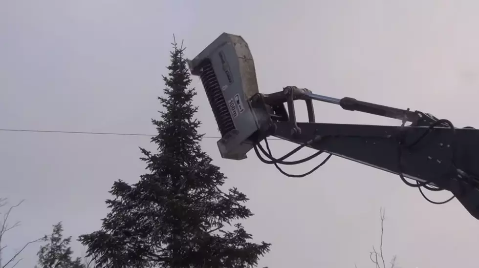 Tree Shredder Gets The Job Done! [VIDEO]