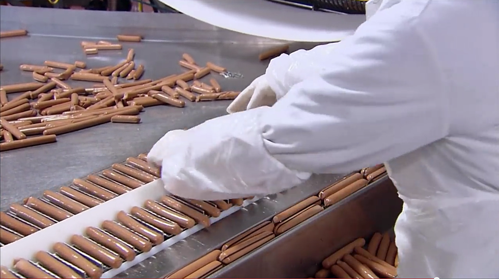 How Hot Dogs Are Made [VIDEO]