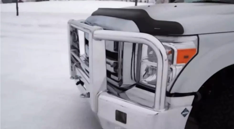 Moose & Deer Guards Are Made To Protect Drivers [VIDEO]