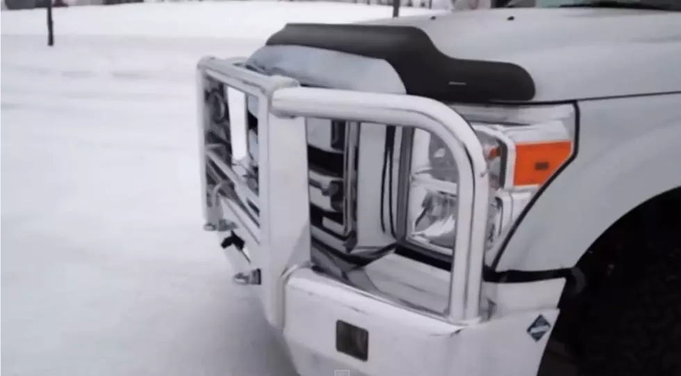 Moose &#038; Deer Guards Are Made To Protect Drivers [VIDEO]