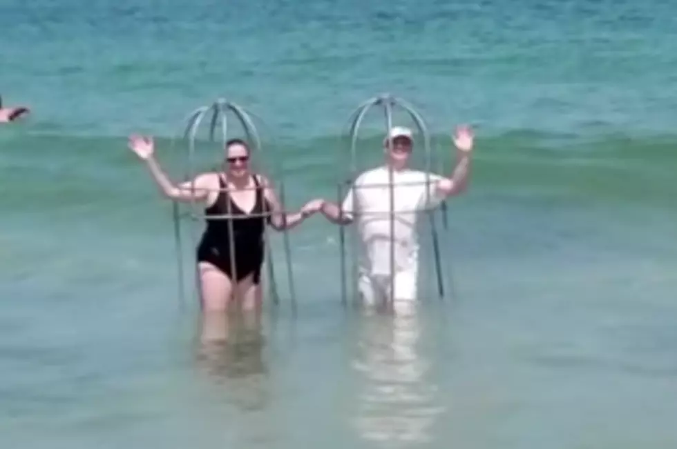 Personal Shark Cages – For Real? [VIDEOS]