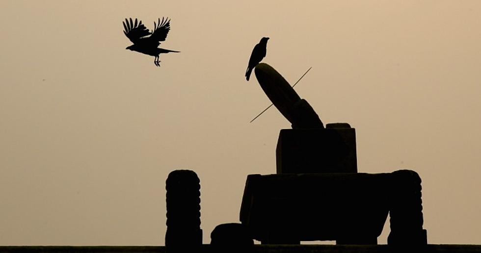 Winter Crow Hunt Wraps Up for the Year