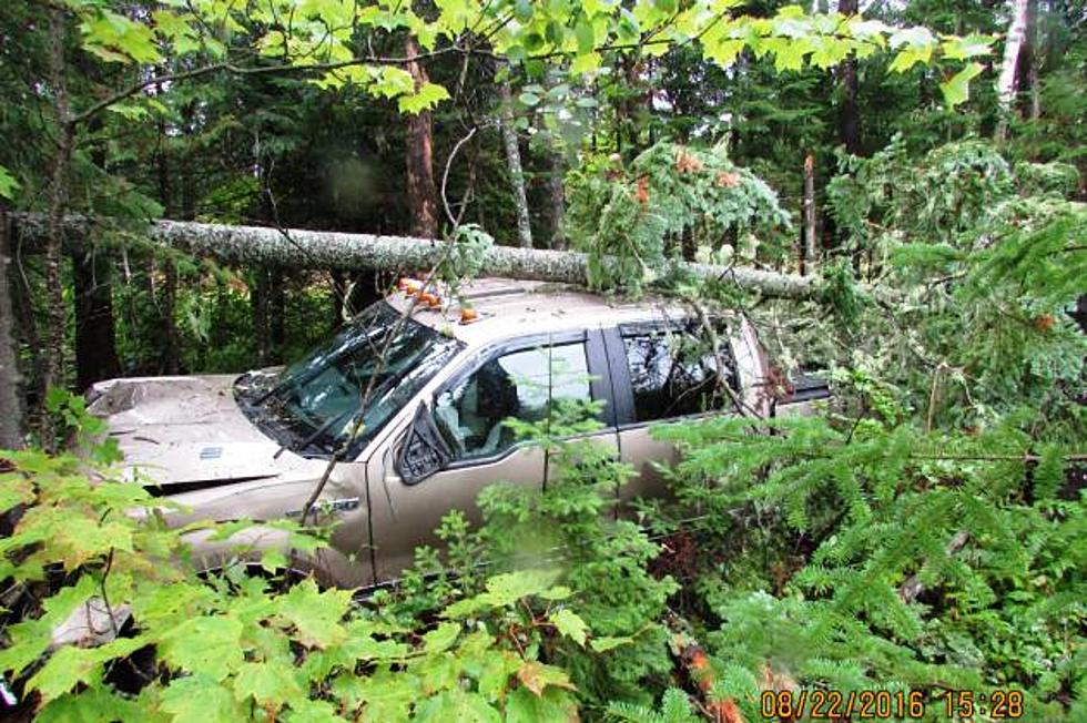 Driver Falls Asleep in Madawaska Lake Crash