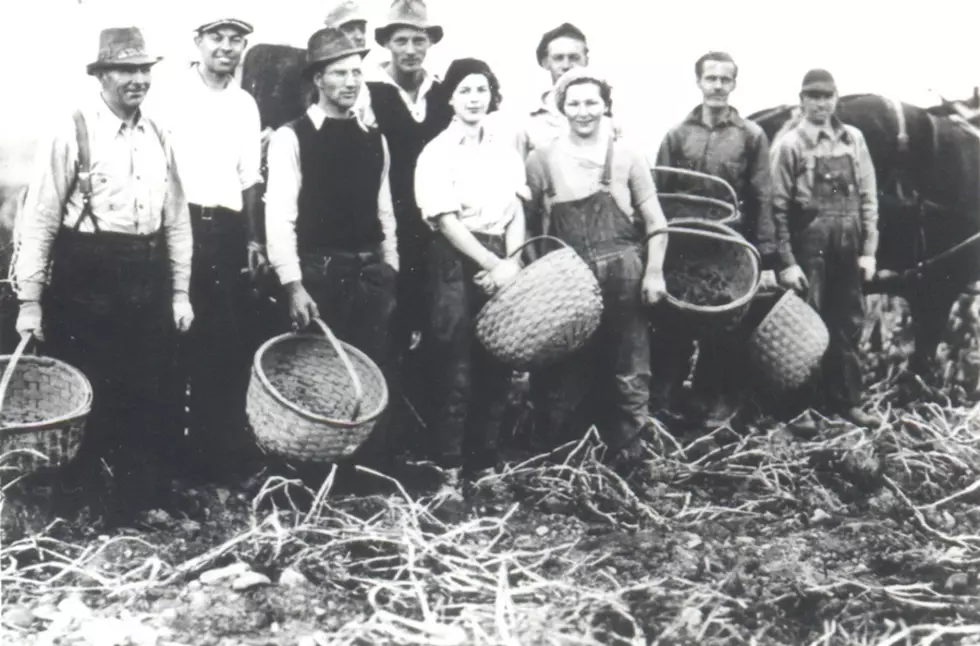 Presque Isle Historical Society To Give Timely Presentation On Potato Harvest [PHOTOS]