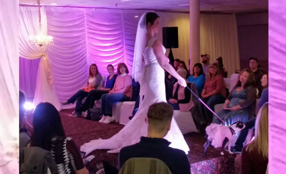 A Huge Success at the Northern Maine Wedding Showcase [GALLERY]