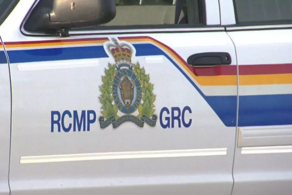 Man Dies Following Car Collision With Moose in Memramcook