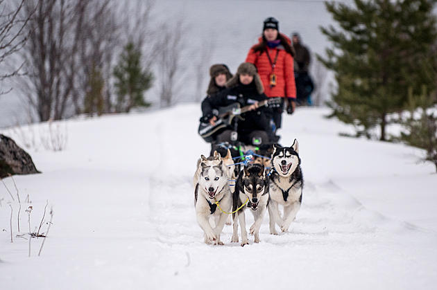 Maine&#8217;s Biggest Dog Sled Race Gets Underway in Fort Kent