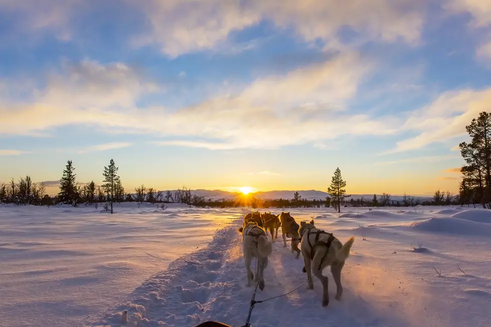 Can-Am Crown International Dog Sled Races