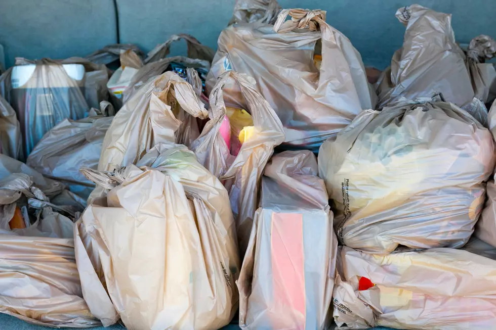 Maine Could Ban Single-Use Plastic Bags