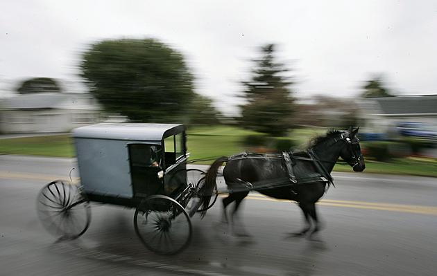 New Reflectors &#038; Lights Law For Amish Buggies