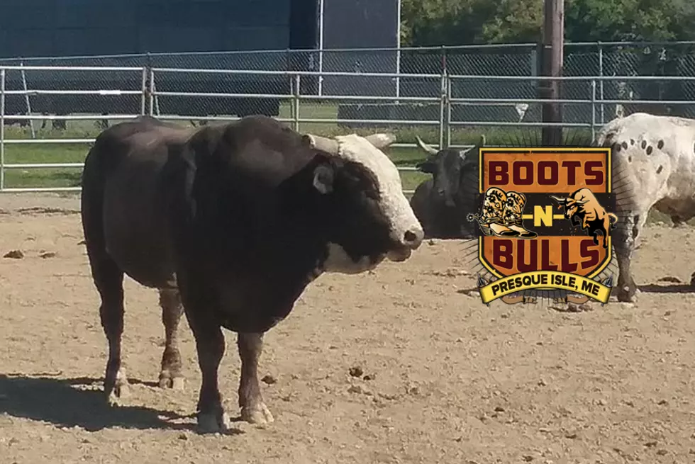 Boots N’ Bulls Presented by Hogan Tire and Nokian Tire