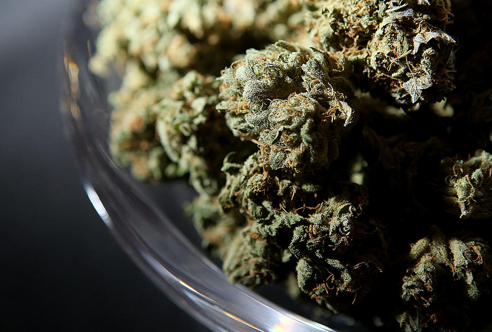 Governor Intends To Sign Law to Allow Pot Sales in Maine