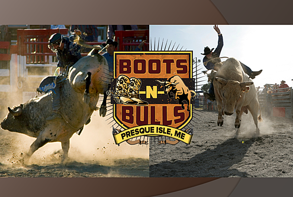 Boots N’ Bulls: The Art of Bull Riding