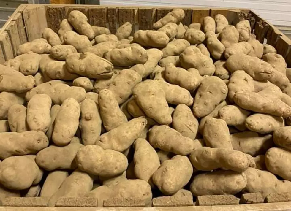 Hemphill Farms Offering Free Extra-Large Russet Potatoes