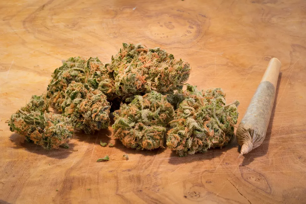 Adult Recreational Marijuana Legal to Buy in Maine