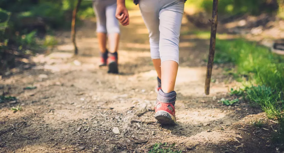 Hikers Told to Forgo Entire Appalachian Trail due to Virus