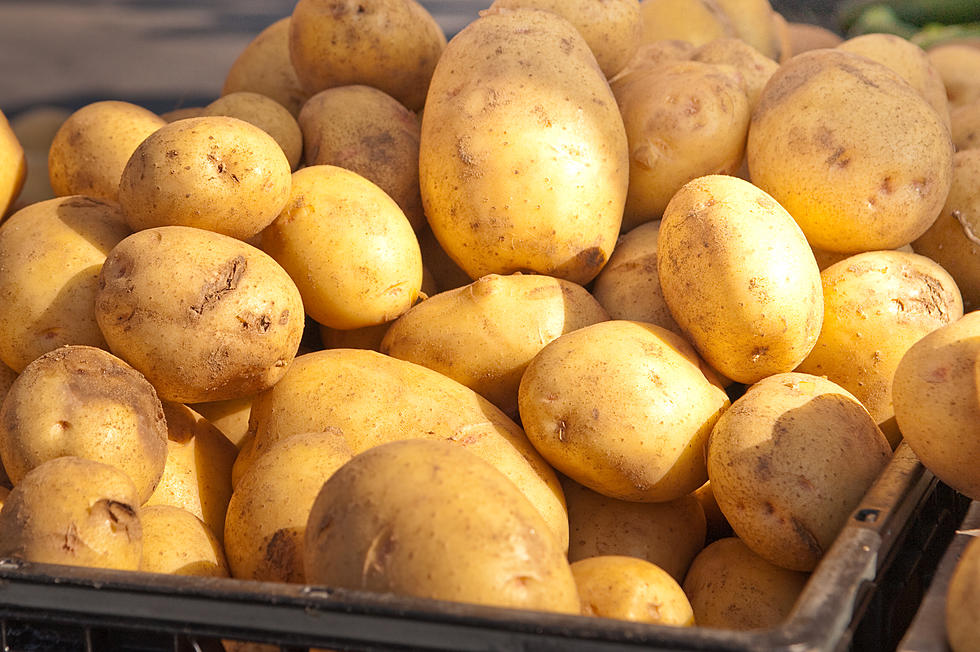 Maine Potatoes Being Served at Ninety Nine Restaurants