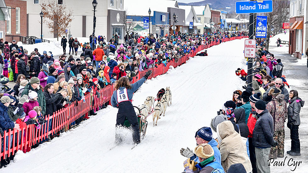 The Can-Am Crown Sled Dog Race is like a Party, Fort Kent, Maine