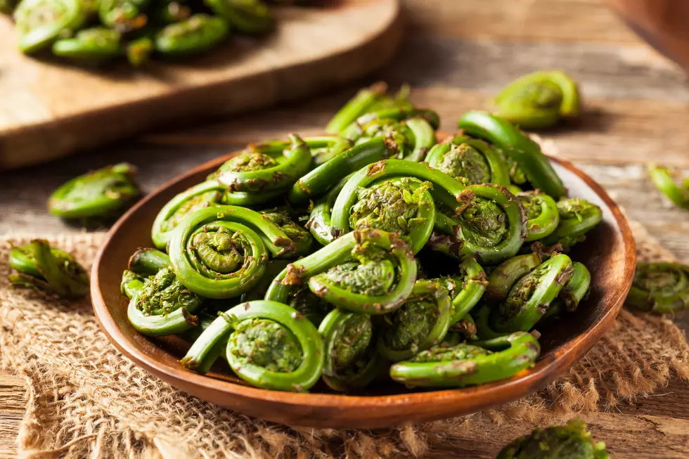 Poll: What’s Your Favorite Way to Prepare Fiddleheads?