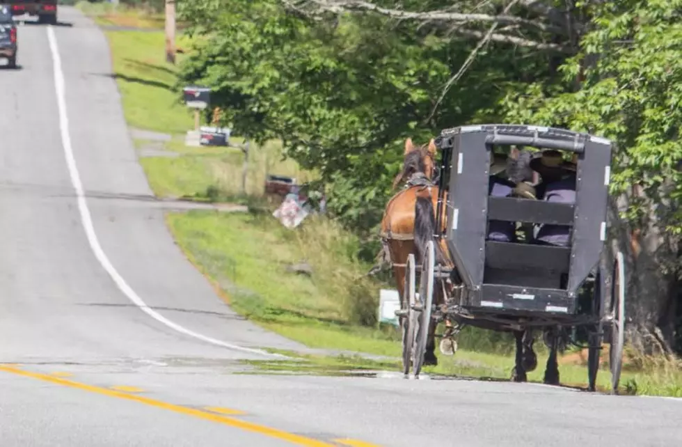 MDOT Posts Reminder of Horse &#038; Buggy on the Roads