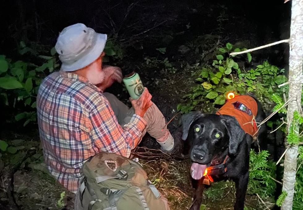 K9 Locates Missing Maine Man in 20 Minutes before Heavy Rain